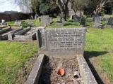 image of grave number 768559